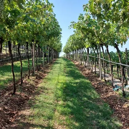 Azienda Agrituristica Corteforte Fumane