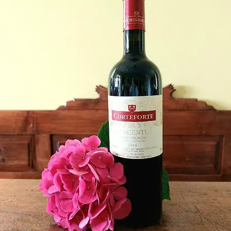 Azienda Agrituristica Corteforte *