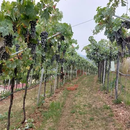 Azienda Agrituristica Corteforte Gospodarstwo agroturystyczne *