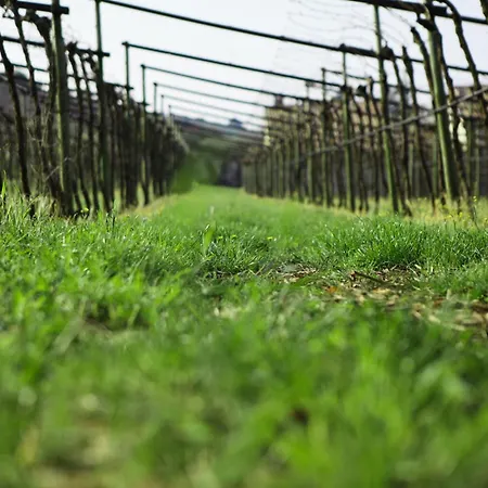 Gospodarstwo agroturystyczne Azienda Agrituristica Corteforte Fumane